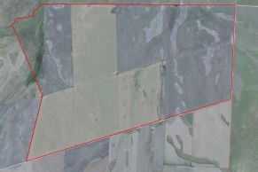 En el Partido de Coronel Dorrego, Provincia de Buenos Aires.